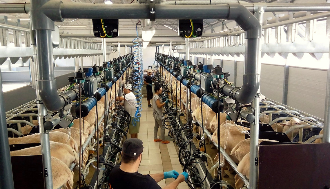 Farmsystems – Animal husbandry units