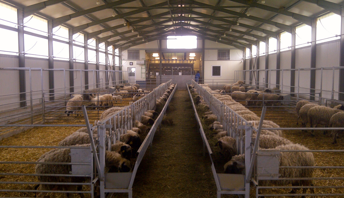 Farmsystems – Animal husbandry units