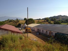Modernisation of the Poultry Farm