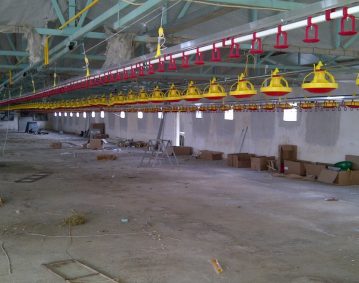 Modernisation of the Poultry Farm