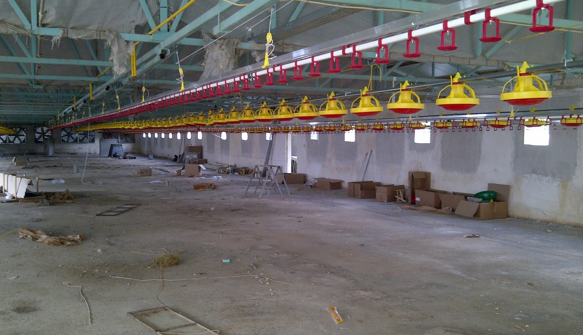 Modernisation of the Poultry Farm