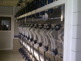 Dairy measurement of sheep and goats