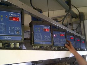 Dairy measurement of sheep and goats