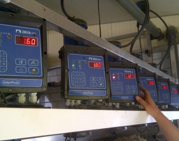 Dairy measurement of sheep and goats