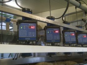 Dairy measurement of sheep and goats