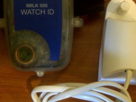 Dairy measurement of sheep and goats