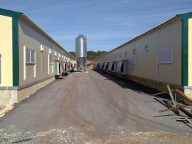 Rabbit farm