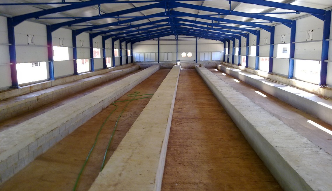 Rabbit farm