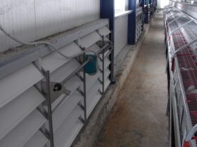 Rabbit farm