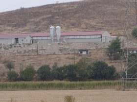 Construction of a Sheep farm building