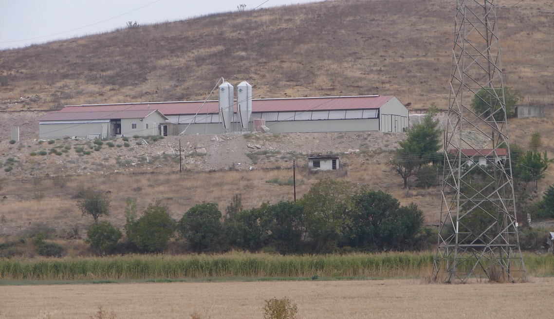 Construction of a Sheep farm building