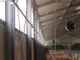Construction of a Sheep farm building