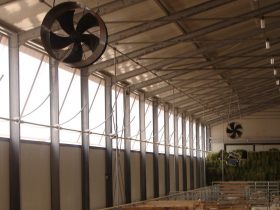 Construction of a Sheep farm building
