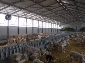 Construction of a Sheep farm building