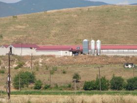Construction of a Sheep farm building