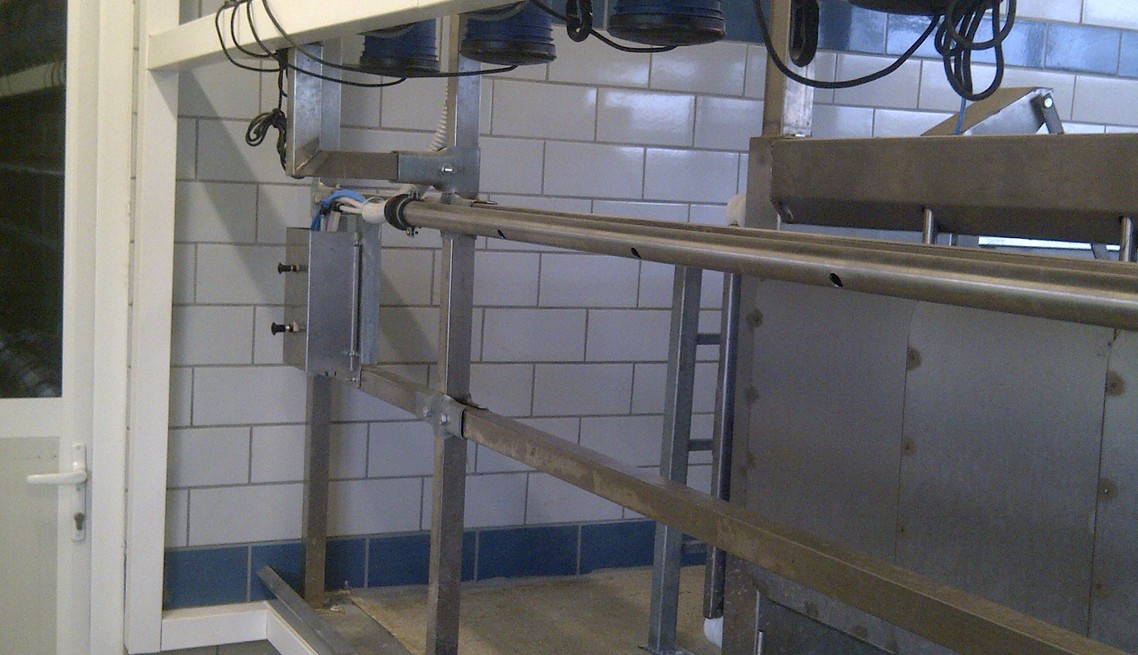 Dairy measurement of sheep and goats