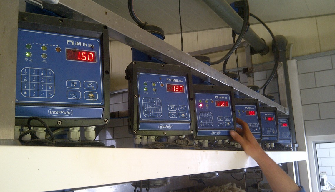 Dairy measurement of sheep and goats