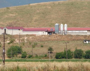 Construction of a Sheep farm building
